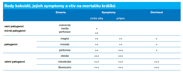 Kokcidióza